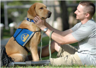 Service Dog and Soldier